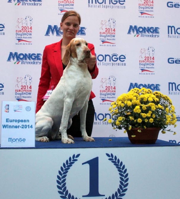 Argentia Mist - Fadette: European Winner 2014